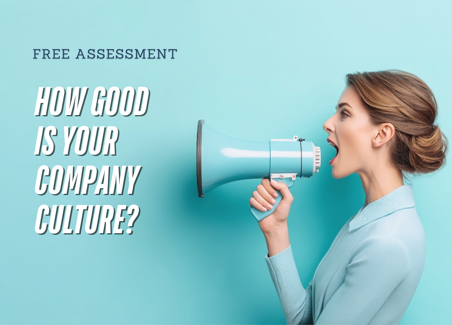 Free leadership assessment - company culture
