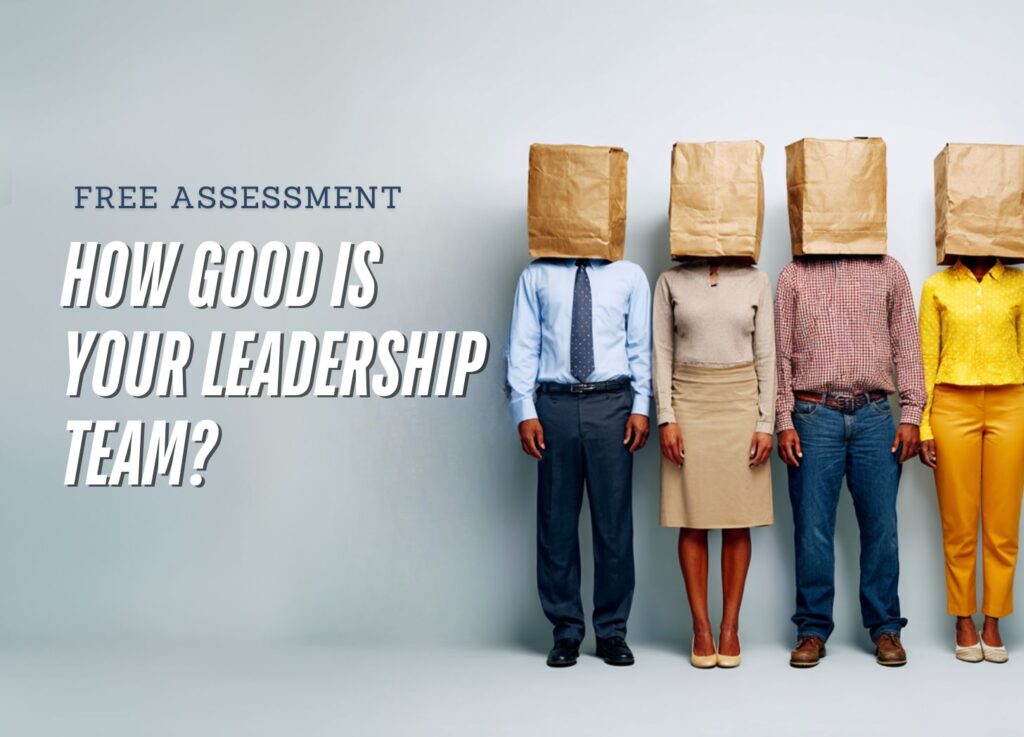 Free Leadership Assessment - LEadership Team