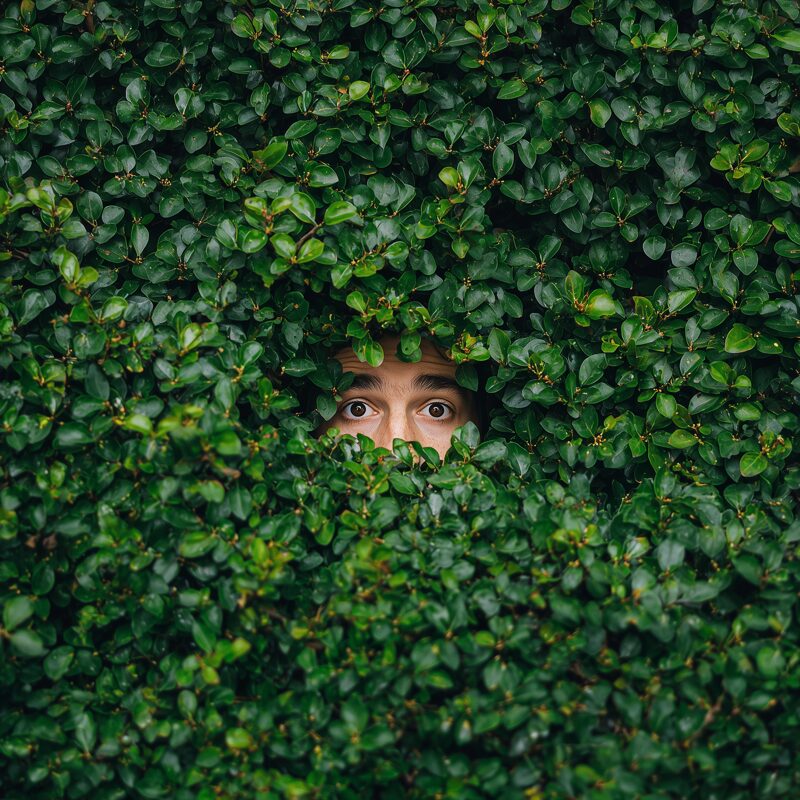 The Secrets To Getting Seen On LinkedIn - Natasha Wasltra - The Best Leadership Company