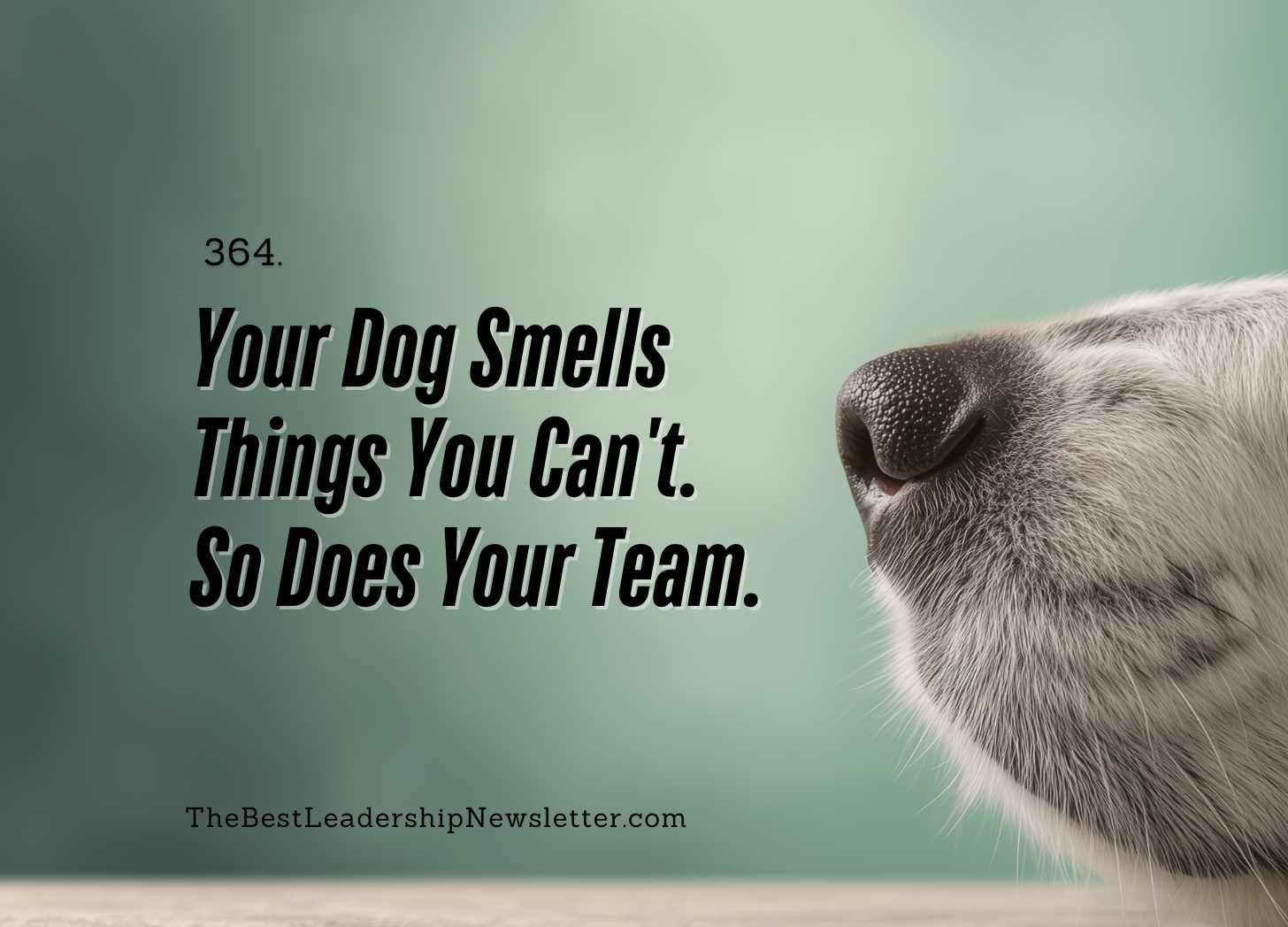 the best leadership company - your dog smells things you can't. so does your team